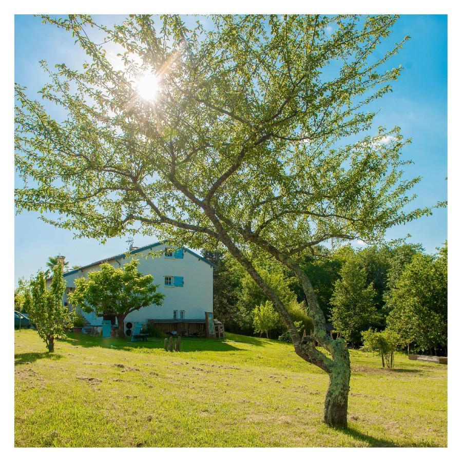Chambre Soignee Et Accueillante A La Campagne - Ch. Jaune L'Honor-de-Cos Exterior foto